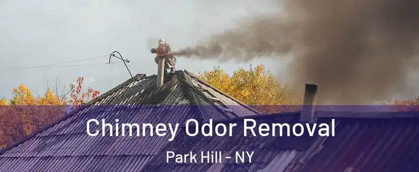 Chimney Odor Removal Park Hill - NY