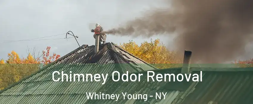 Chimney Odor Removal Whitney Young - NY