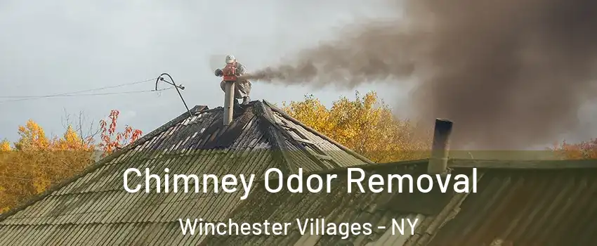 Chimney Odor Removal Winchester Villages - NY