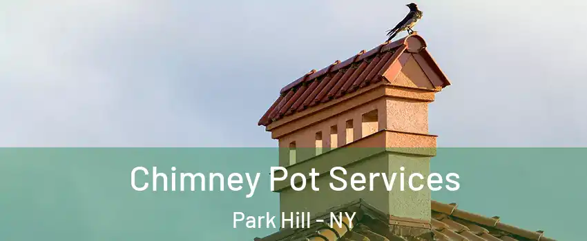 Chimney Pot Services Park Hill - NY