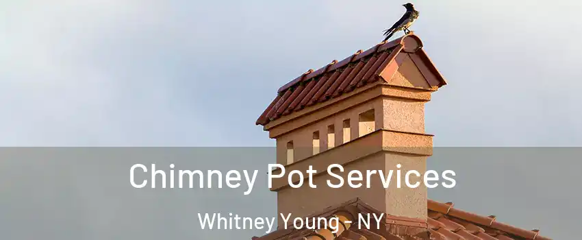 Chimney Pot Services Whitney Young - NY