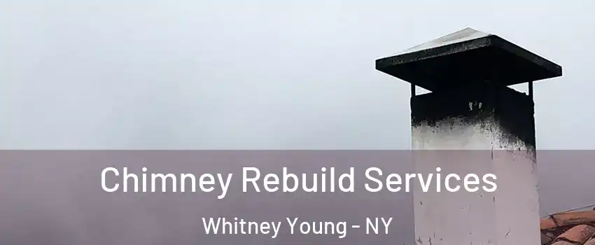 Chimney Rebuild Services Whitney Young - NY