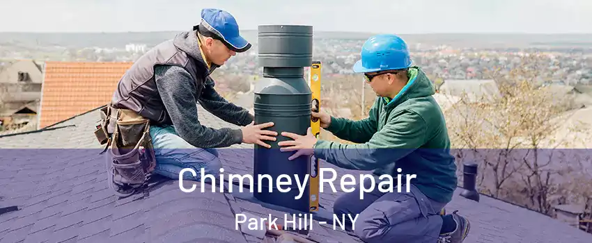 Chimney Repair Park Hill - NY