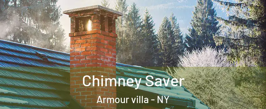 Chimney Saver Armour villa - NY
