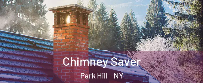 Chimney Saver Park Hill - NY