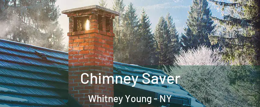 Chimney Saver Whitney Young - NY
