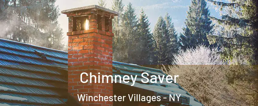 Chimney Saver Winchester Villages - NY
