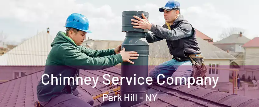 Chimney Service Company Park Hill - NY