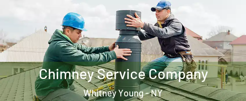 Chimney Service Company Whitney Young - NY