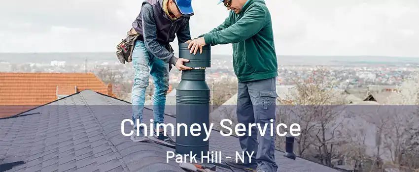 Chimney Service Park Hill - NY