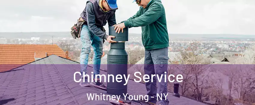 Chimney Service Whitney Young - NY