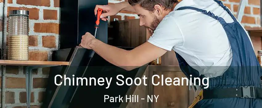 Chimney Soot Cleaning Park Hill - NY