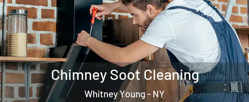 Chimney Soot Cleaning Whitney Young - NY