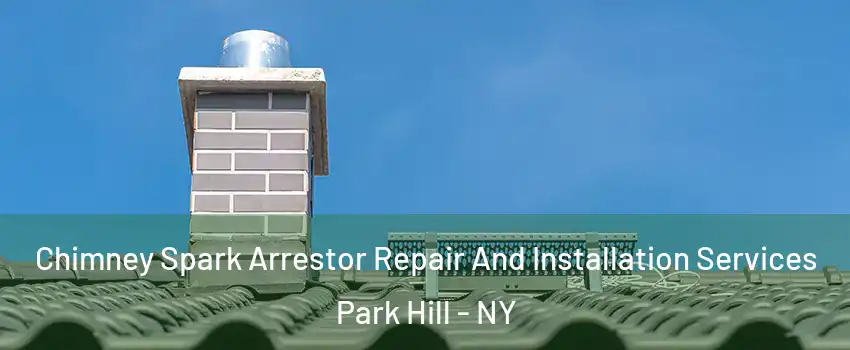 Chimney Spark Arrestor Repair And Installation Services Park Hill - NY