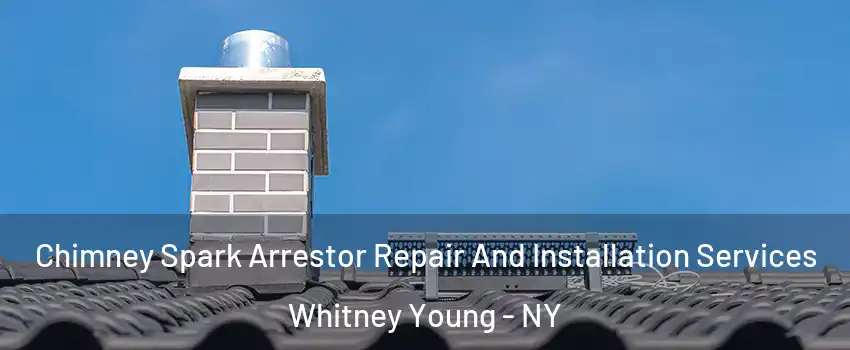 Chimney Spark Arrestor Repair And Installation Services Whitney Young - NY