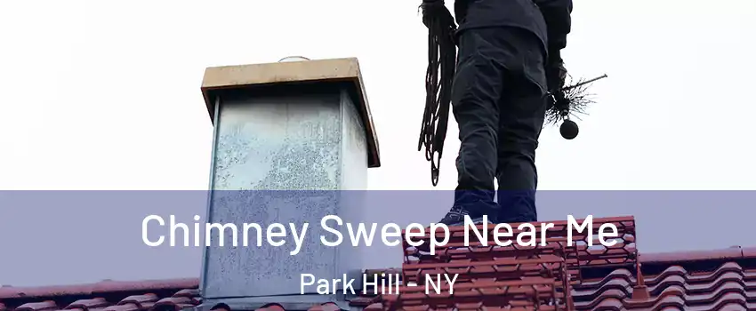 Chimney Sweep Near Me Park Hill - NY