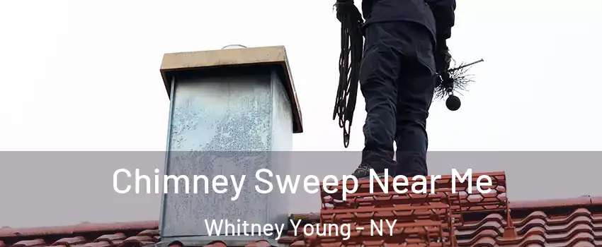 Chimney Sweep Near Me Whitney Young - NY