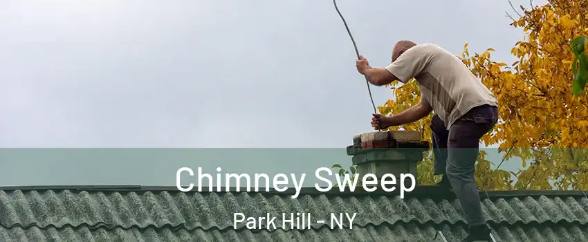 Chimney Sweep Park Hill - NY