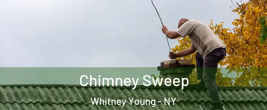 Chimney Sweep Whitney Young - NY