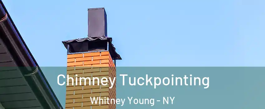 Chimney Tuckpointing Whitney Young - NY
