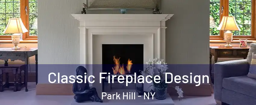Classic Fireplace Design Park Hill - NY