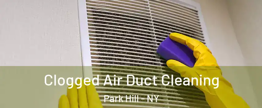 Clogged Air Duct Cleaning Park Hill - NY