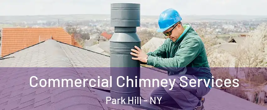 Commercial Chimney Services Park Hill - NY