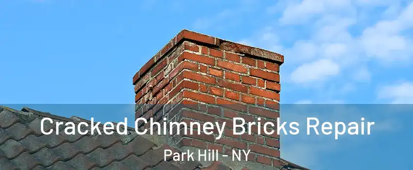 Cracked Chimney Bricks Repair Park Hill - NY