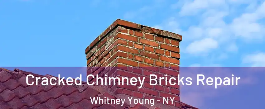 Cracked Chimney Bricks Repair Whitney Young - NY