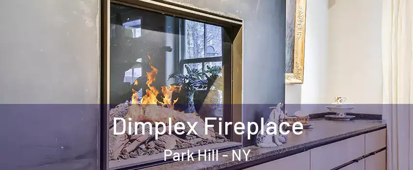 Dimplex Fireplace Park Hill - NY