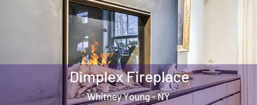 Dimplex Fireplace Whitney Young - NY