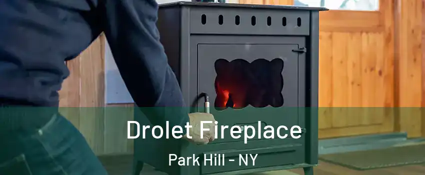 Drolet Fireplace Park Hill - NY