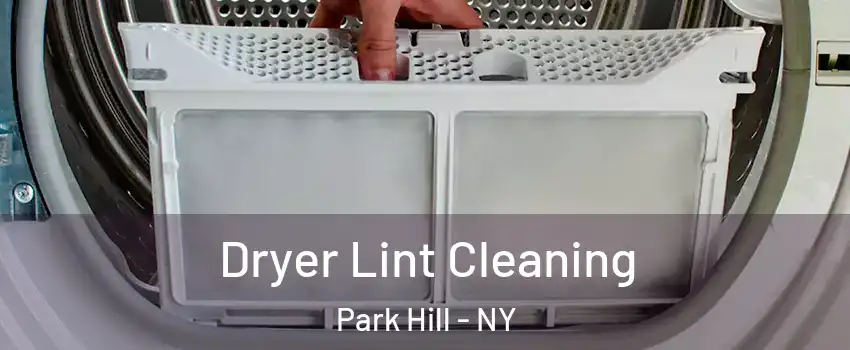 Dryer Lint Cleaning Park Hill - NY