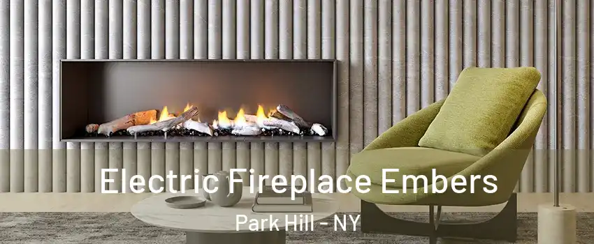 Electric Fireplace Embers Park Hill - NY
