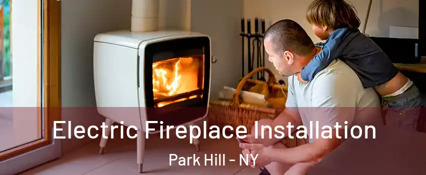 Electric Fireplace Installation Park Hill - NY