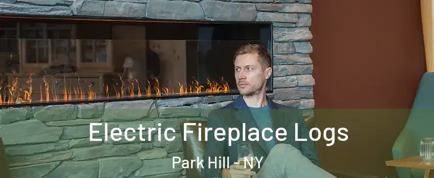 Electric Fireplace Logs Park Hill - NY