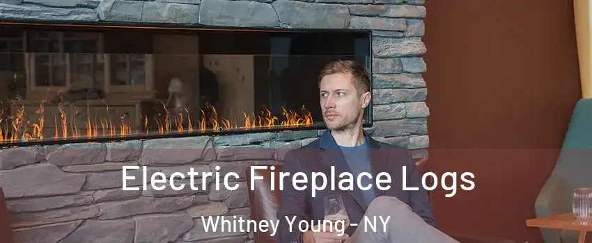 Electric Fireplace Logs Whitney Young - NY