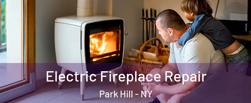 Electric Fireplace Repair Park Hill - NY