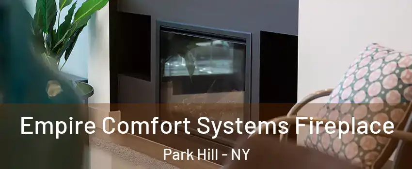 Empire Comfort Systems Fireplace Park Hill - NY