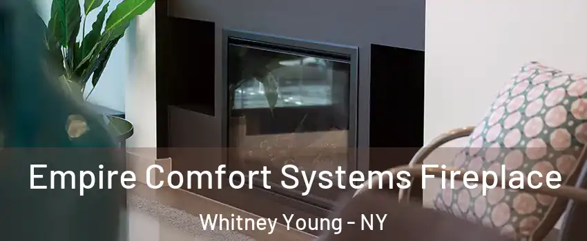 Empire Comfort Systems Fireplace Whitney Young - NY
