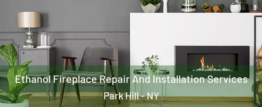 Ethanol Fireplace Repair And Installation Services Park Hill - NY