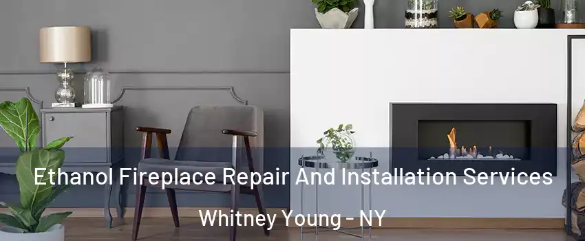Ethanol Fireplace Repair And Installation Services Whitney Young - NY