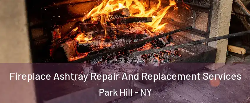 Fireplace Ashtray Repair And Replacement Services Park Hill - NY