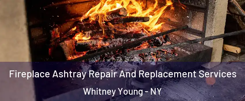 Fireplace Ashtray Repair And Replacement Services Whitney Young - NY