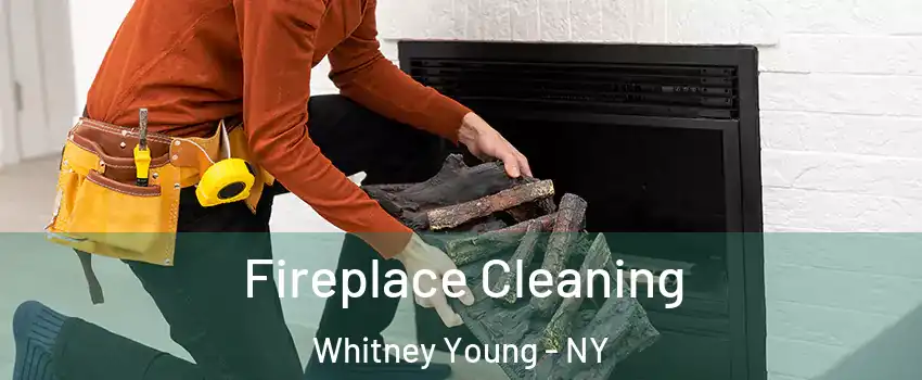 Fireplace Cleaning Whitney Young - NY
