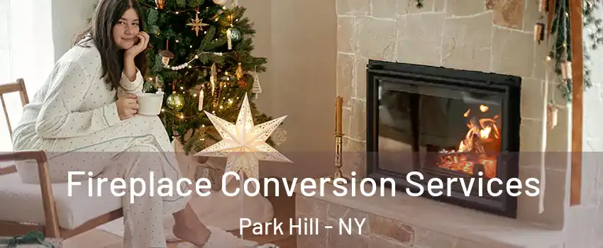 Fireplace Conversion Services Park Hill - NY