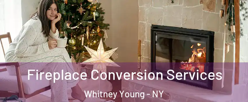 Fireplace Conversion Services Whitney Young - NY