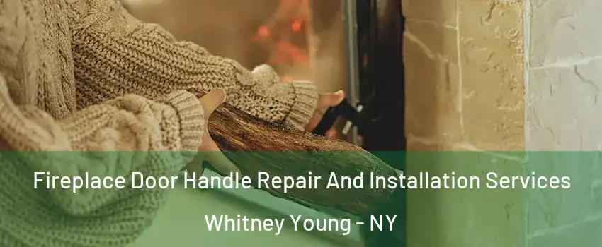 Fireplace Door Handle Repair And Installation Services Whitney Young - NY