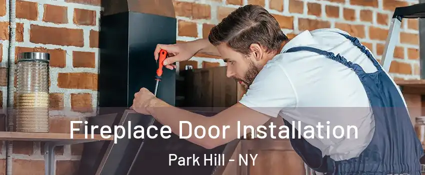 Fireplace Door Installation Park Hill - NY