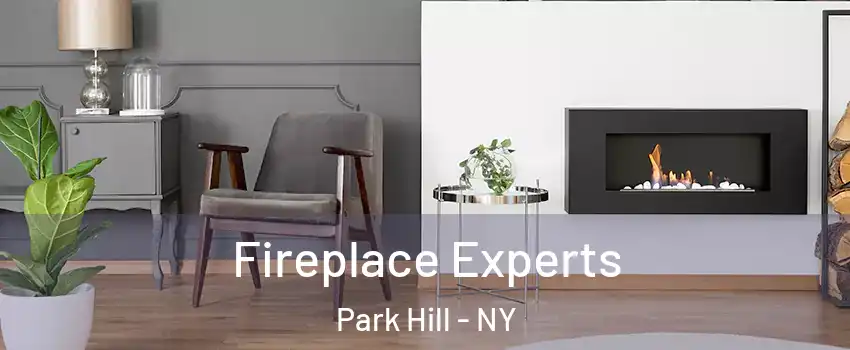 Fireplace Experts Park Hill - NY